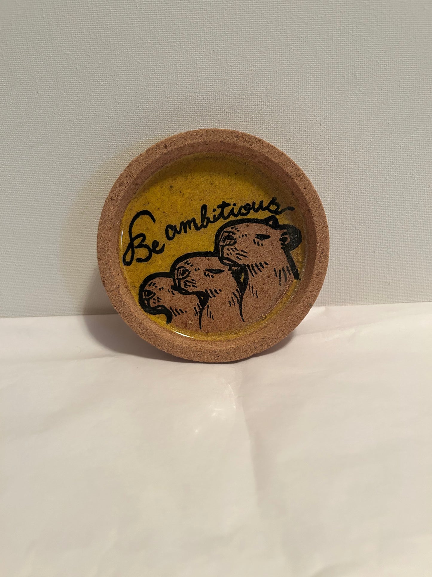 Cork Capybara Coasters